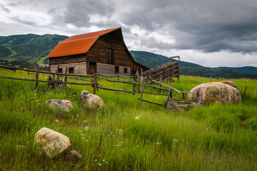 Photo 1 Farmhouse 2 Tractor 3 Crops 4 Livestock 5 Barn 6 Fields 7 Farmer 8 Tools 9 Seeds 10 Irrigation