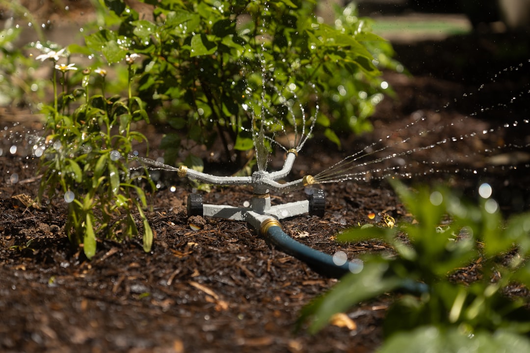 Photo Sprinkler system